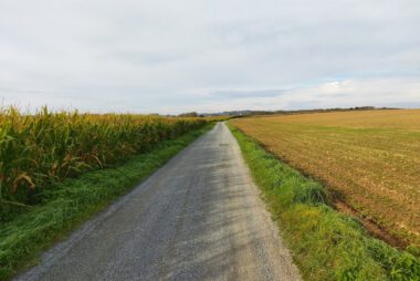 Donderdag 14 mei : Regio Gent- Gravelrit 90 km.